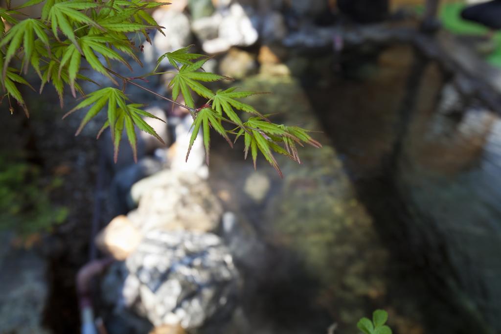Puruke-No-Yakata Hotel Kawabata Shibetsu  Eksteriør bilde